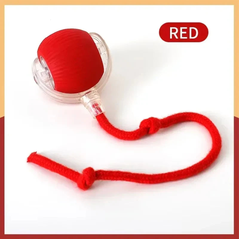 Interactive Dog Toys Rechargeable Pet Interactive Toys Electric Cats Ball Automatic Rolling Fake Tail Ball Dog Cats Toy