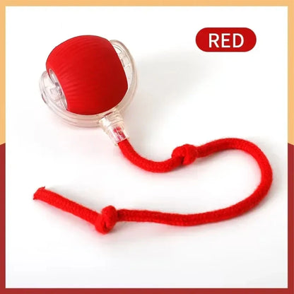Interactive Dog Toys Rechargeable Pet Interactive Toys Electric Cats Ball Automatic Rolling Fake Tail Ball Dog Cats Toy