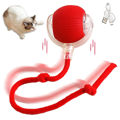 Interactive Dog Toys Rechargeable Pet Interactive Toys Electric Cats Ball Automatic Rolling Fake Tail Ball Dog Cats Toy
