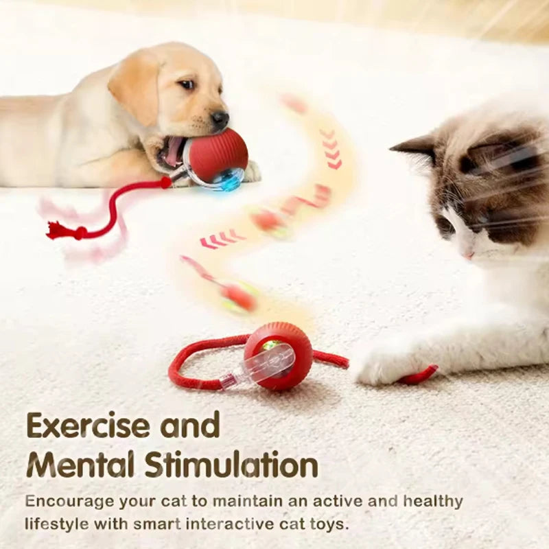 Interactive Dog Toys Rechargeable Pet Interactive Toys Electric Cats Ball Automatic Rolling Fake Tail Ball Dog Cats Toy